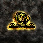 Hundemotiv 3D LED Wandbild
