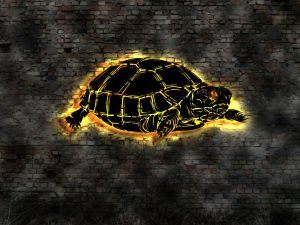 Schildkröte 3D- Effekt Wandbild mit LED Licht beleuchtet